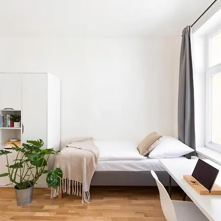 Holandska 36