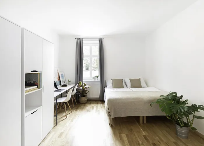 Holandska 36 *