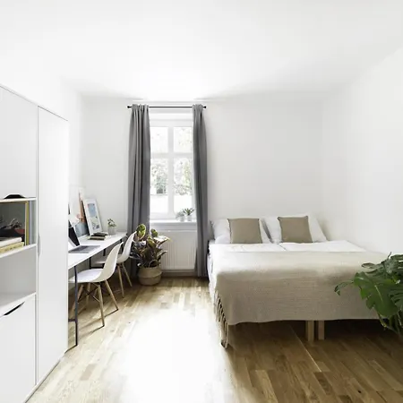 Holandska 36 *